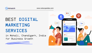 Best Digital Marketing Services in Mohali, Chandigarh, India for Business Growth
